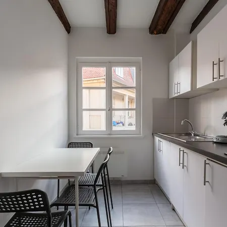 Confort Au Coeur De Straßburg Exterior foto