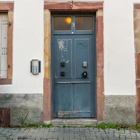 Confort Au Coeur De Straßburg Exterior foto