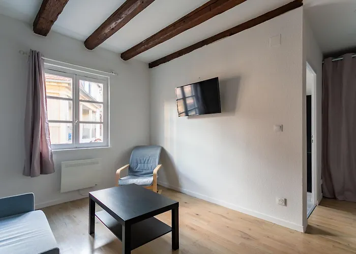 Confort Au Coeur De Strasbourg