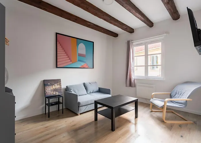 Confort Au Coeur De Strasbourg