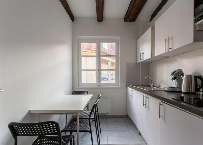Confort Au Coeur De Strasbourg
